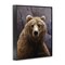 Stupell Industries Surprised Bear Portrait Framed Giclee Wall Art Design by Rod Lawrence
